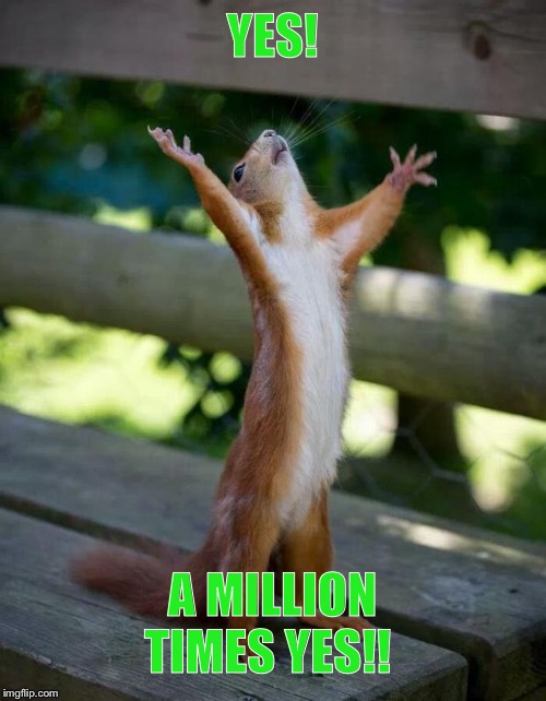 Happy Squirrel | YES! A MILLION TIMES YES!! | image tagged in happy squirrel | made w/ Imgflip meme maker