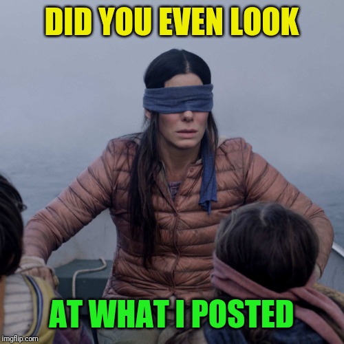 Bird Box Meme | DID YOU EVEN LOOK AT WHAT I POSTED | image tagged in memes,bird box | made w/ Imgflip meme maker