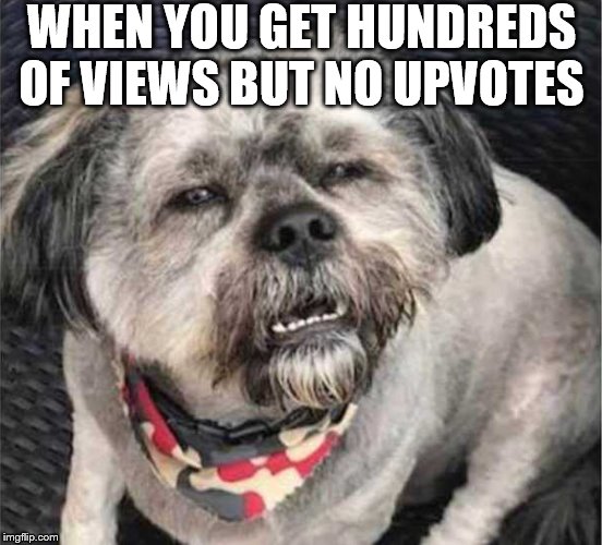confused dog |  WHEN YOU GET HUNDREDS OF VIEWS BUT NO UPVOTES | image tagged in confused dog | made w/ Imgflip meme maker
