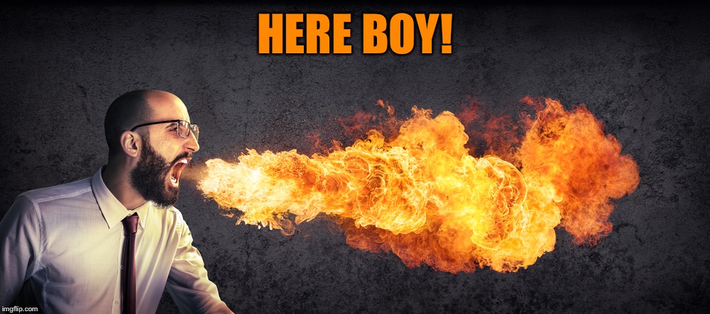 Angry preacher breathing fire | HERE BOY! | image tagged in angry preacher breathing fire | made w/ Imgflip meme maker