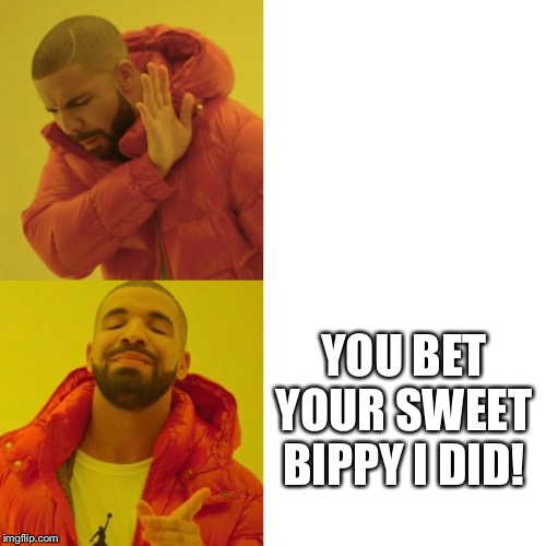 Drake Blank | YOU BET YOUR SWEET BIPPY I DID! | image tagged in drake blank | made w/ Imgflip meme maker