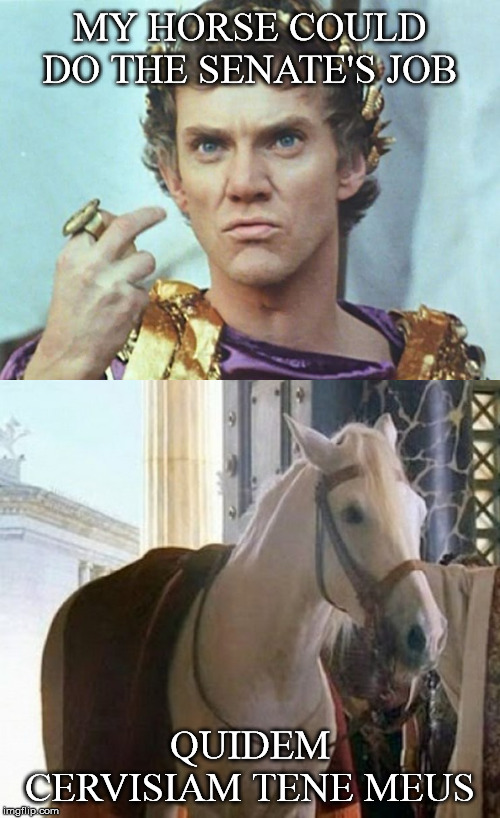  MY HORSE COULD DO THE SENATE'S JOB; QUIDEM CERVISIAM TENE MEUS | image tagged in caligula,horse,romans,senate,latin,hold my beer | made w/ Imgflip meme maker