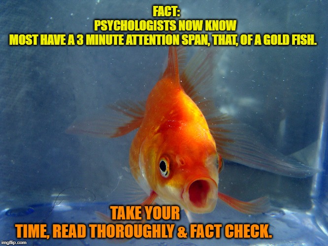 Attention Span of a Gold Fish | TAKE YOUR TIME, READ THOROUGHLY & FACT CHECK. FACT: PSYCHOLOGISTS NOW KNOW MOST HAVE A 3 MINUTE ATTENTION SPAN, THAT, OF A GOLD FISH. | image tagged in news,ads,trump | made w/ Imgflip meme maker