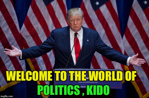 Donald Trump | WELCOME TO THE WORLD OF POLITICS , KIDO | image tagged in donald trump | made w/ Imgflip meme maker