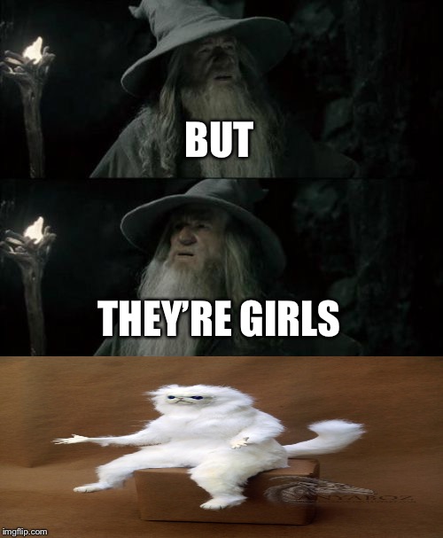 Confused Gandalf Meme | BUT THEY’RE GIRLS | image tagged in memes,confused gandalf | made w/ Imgflip meme maker