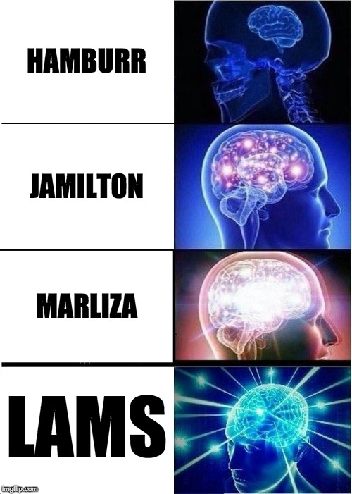 Expanding Brain | HAMBURR; JAMILTON; MARLIZA; LAMS | image tagged in memes,expanding brain | made w/ Imgflip meme maker