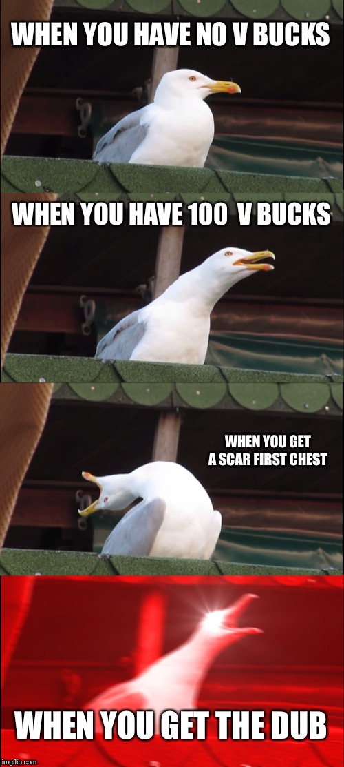 Inhaling Seagull | WHEN YOU HAVE NO V BUCKS; WHEN YOU HAVE 100  V BUCKS; WHEN YOU GET A SCAR FIRST CHEST; WHEN YOU GET THE DUB | image tagged in memes,inhaling seagull | made w/ Imgflip meme maker