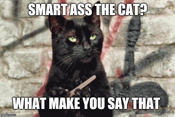 SMART ASS THE CAT? WHAT MAKE YOU SAY THAT | made w/ Imgflip meme maker