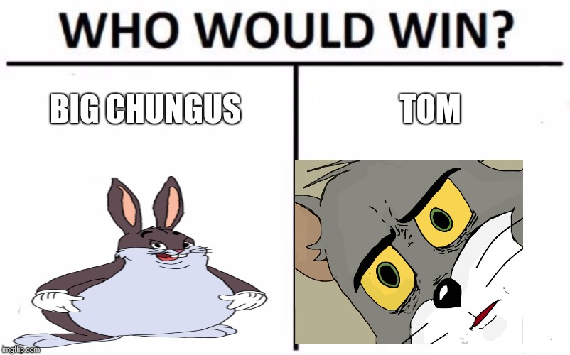 Who Would Win? | BIG CHUNGUS; TOM | image tagged in memes,who would win | made w/ Imgflip meme maker