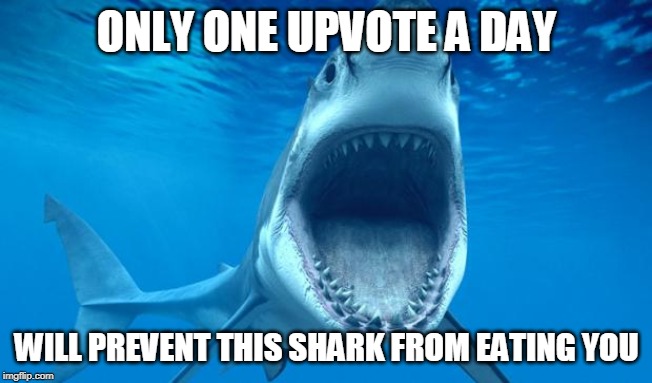 Upvote is the only accepted form of donation, we do not accept downvotes. | ONLY ONE UPVOTE A DAY; WILL PREVENT THIS SHARK FROM EATING YOU | image tagged in shark open mouth | made w/ Imgflip meme maker