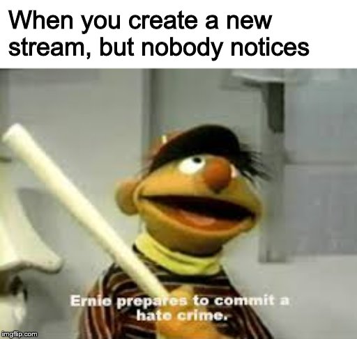 Ernie Prepares to commit a hate crime | When you create a new stream, but nobody notices | image tagged in ernie prepares to commit a hate crime,memes,imgflip,senpai notice me | made w/ Imgflip meme maker