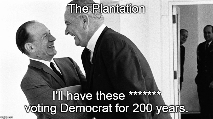 LBJ | The Plantation; I'll have these ******* voting Democrat for 200 years. | image tagged in lbj | made w/ Imgflip meme maker