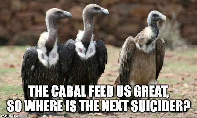 vulture politicians | THE CABAL FEED US GREAT, SO WHERE IS THE NEXT SUICIDER? | image tagged in vulture politicians | made w/ Imgflip meme maker