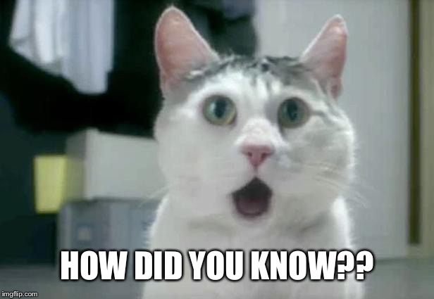 OMG Cat Meme | HOW DID YOU KNOW?? | image tagged in memes,omg cat | made w/ Imgflip meme maker