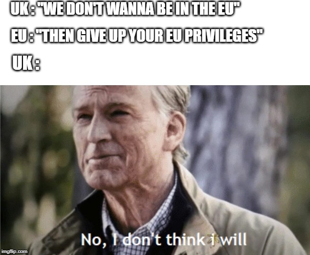 No I don't think I Will | UK : "WE DON'T WANNA BE IN THE EU"; UK :; EU : "THEN GIVE UP YOUR EU PRIVILEGES" | image tagged in no i don't think i will | made w/ Imgflip meme maker
