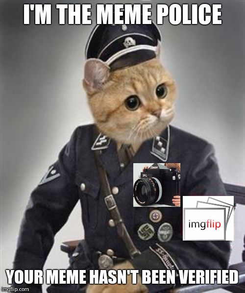 Grammar Nazi Cat | I'M THE MEME POLICE YOUR MEME HASN'T BEEN VERIFIED | image tagged in grammar nazi cat | made w/ Imgflip meme maker