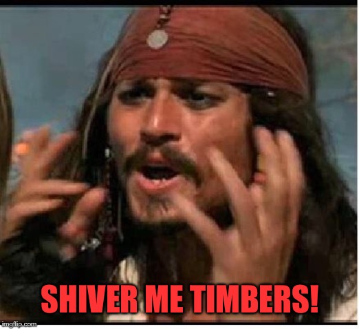 Jack Sparrow | SHIVER ME TIMBERS! | image tagged in jack sparrow | made w/ Imgflip meme maker