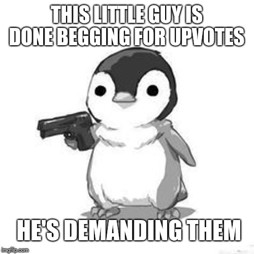 Demands penguin | THIS LITTLE GUY IS DONE BEGGING FOR UPVOTES; HE'S DEMANDING THEM | image tagged in penguin holding gun | made w/ Imgflip meme maker