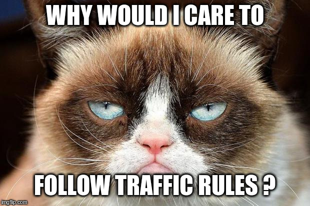 Grumpy Cat Not Amused | WHY WOULD I CARE TO; FOLLOW TRAFFIC RULES ? | image tagged in memes,grumpy cat not amused,grumpy cat | made w/ Imgflip meme maker