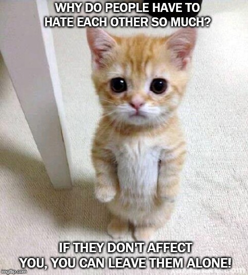 Cute Cat Meme | WHY DO PEOPLE HAVE TO HATE EACH OTHER SO MUCH? IF THEY DON'T AFFECT YOU, YOU CAN LEAVE THEM ALONE! | image tagged in memes,cute cat | made w/ Imgflip meme maker