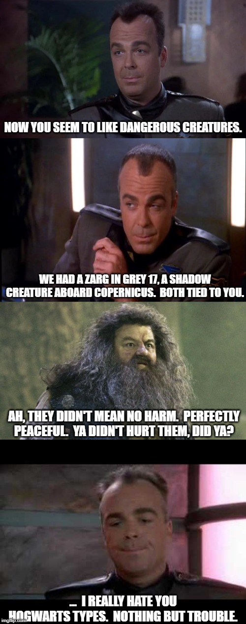Hagrid comes to Babylon 5 | NOW YOU SEEM TO LIKE DANGEROUS CREATURES. WE HAD A ZARG IN GREY 17, A SHADOW CREATURE ABOARD COPERNICUS.  BOTH TIED TO YOU. AH, THEY DIDN'T MEAN NO HARM.  PERFECTLY PEACEFUL.  YA DIDN'T HURT THEM, DID YA? ...  I REALLY HATE YOU HOGWARTS TYPES.  NOTHING BUT TROUBLE. | image tagged in babylon 5,hagrid,harry potter | made w/ Imgflip meme maker