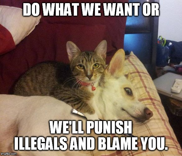 dems' immigration policy | DO WHAT WE WANT OR; WE'LL PUNISH ILLEGALS AND BLAME YOU. | image tagged in dog hostage | made w/ Imgflip meme maker