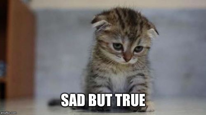 Sad kitten | SAD BUT TRUE | image tagged in sad kitten | made w/ Imgflip meme maker