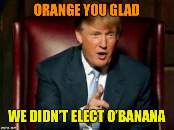 Donald Trump | ORANGE YOU GLAD WE DIDN’T ELECT O’BANANA | image tagged in donald trump | made w/ Imgflip meme maker