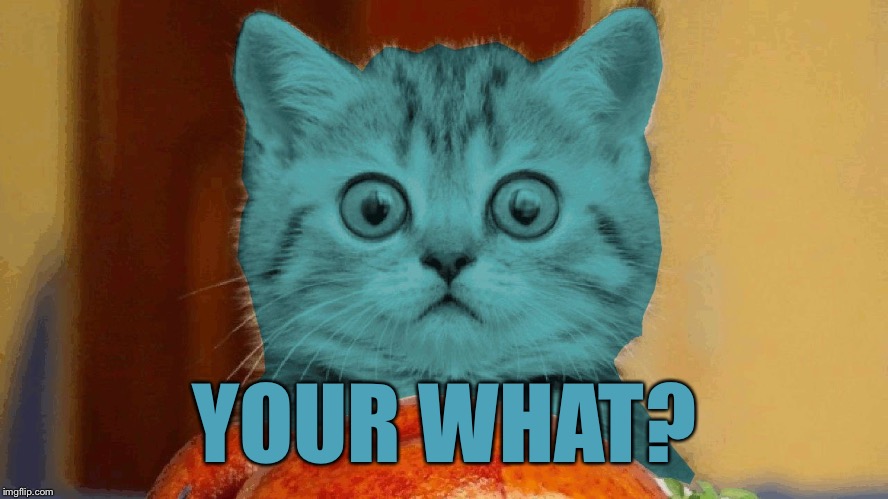 RayCat surprised | YOUR WHAT? | image tagged in raycat surprised | made w/ Imgflip meme maker