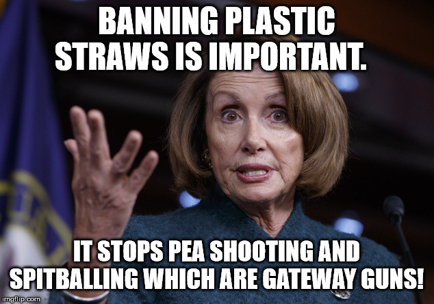Good old Nancy Pelosi | BANNING PLASTIC STRAWS IS IMPORTANT. IT STOPS PEA SHOOTING AND SPITBALLING WHICH ARE GATEWAY GUNS! | image tagged in good old nancy pelosi | made w/ Imgflip meme maker