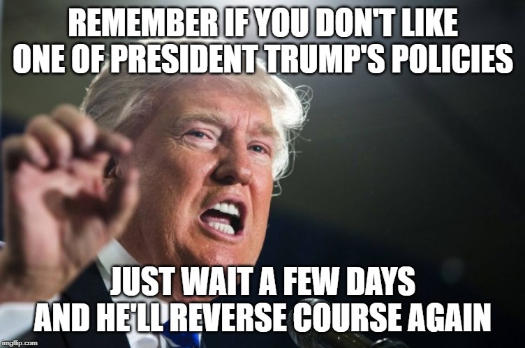 Trumped Up | REMEMBER IF YOU DON'T LIKE ONE OF PRESIDENT TRUMP'S POLICIES; JUST WAIT A FEW DAYS AND HE'LL REVERSE COURSE AGAIN | image tagged in donald trump,flip flip | made w/ Imgflip meme maker