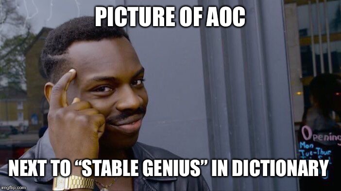 Roll Safe Think About It Meme | PICTURE OF AOC NEXT TO “STABLE GENIUS” IN DICTIONARY | image tagged in memes,roll safe think about it | made w/ Imgflip meme maker