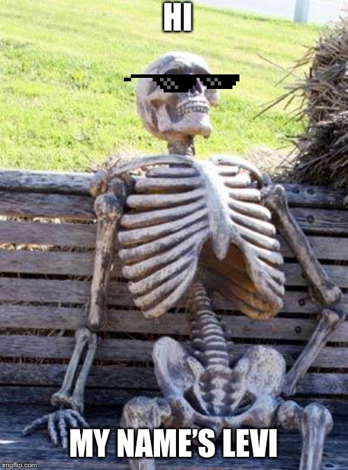 Waiting Skeleton Meme | HI; MY NAME’S LEVI | image tagged in memes,waiting skeleton | made w/ Imgflip meme maker