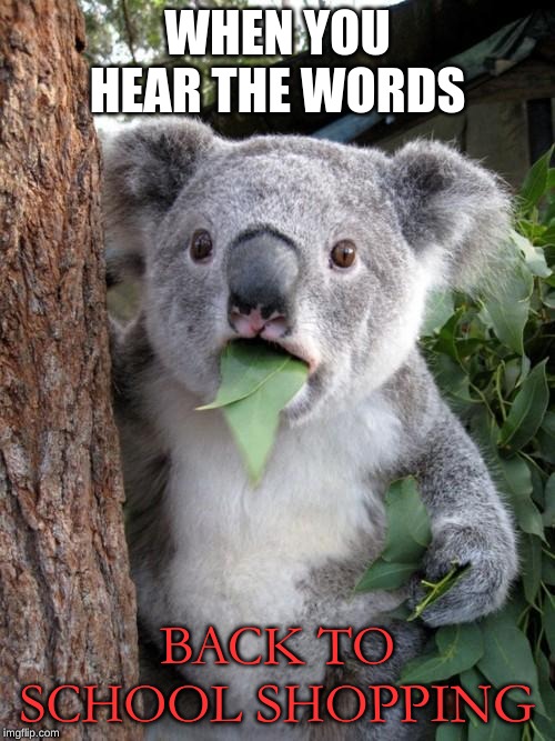 Surprised Koala | WHEN YOU HEAR THE WORDS; BACK TO SCHOOL SHOPPING | image tagged in memes,surprised koala | made w/ Imgflip meme maker