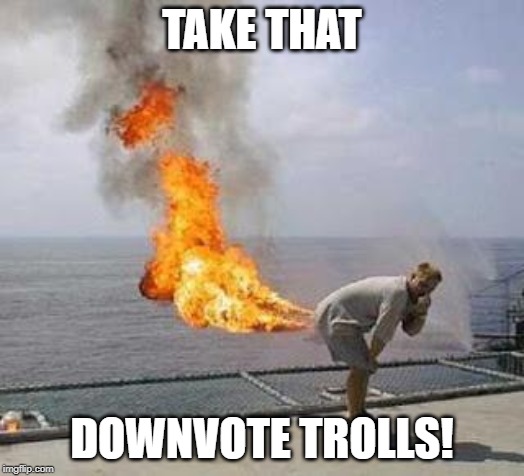Downvote trolls | TAKE THAT; DOWNVOTE TROLLS! | image tagged in fart,memes,funny,fire fart,fire,downvotes | made w/ Imgflip meme maker