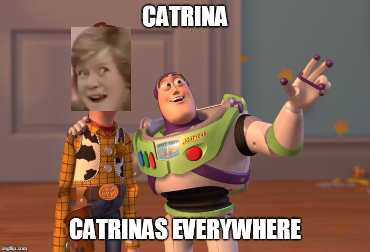 X, X Everywhere | CATRINA; CATRINAS EVERYWHERE | image tagged in memes,x x everywhere | made w/ Imgflip meme maker
