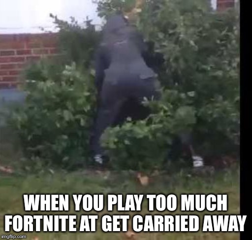 fortnit bush | WHEN YOU PLAY TOO MUCH FORTNITE AT GET CARRIED AWAY | image tagged in fortnit bush | made w/ Imgflip meme maker