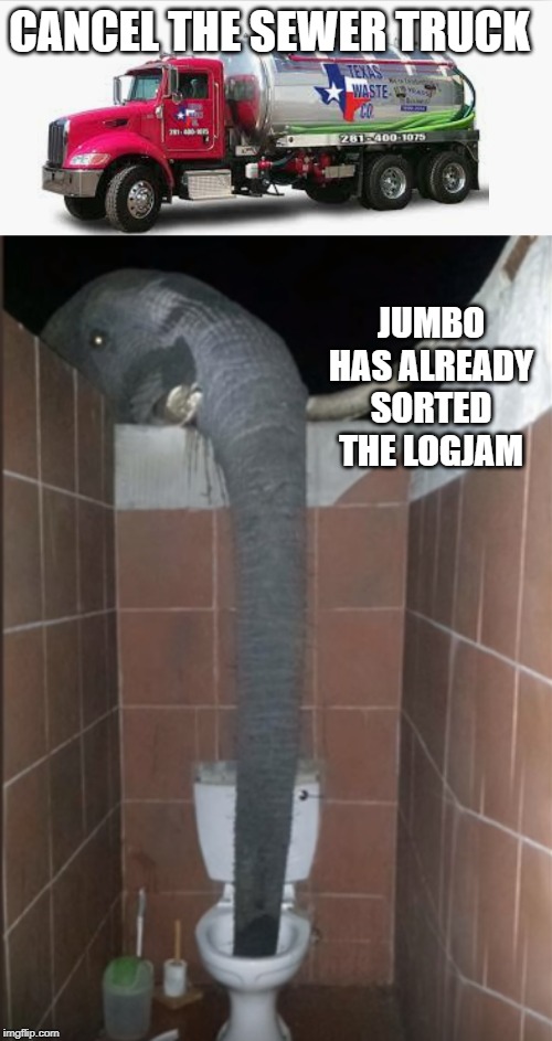 he'll probably have bad breath for a few days | CANCEL THE SEWER TRUCK; JUMBO HAS ALREADY SORTED THE LOGJAM | image tagged in blockage,elephant,sewer | made w/ Imgflip meme maker