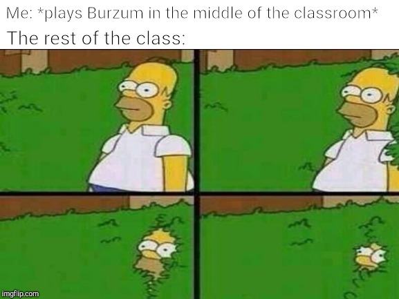 Scare the shit out of them! | Me: *plays Burzum in the middle of the classroom*; The rest of the class: | image tagged in metal,memes,burzum,powermetalhead,homer bush,fear | made w/ Imgflip meme maker
