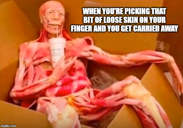 it won't heal if you pick it | WHEN YOU'RE PICKING THAT BIT OF LOOSE SKIN ON YOUR FINGER AND YOU GET CARRIED AWAY | image tagged in skin,pick | made w/ Imgflip meme maker