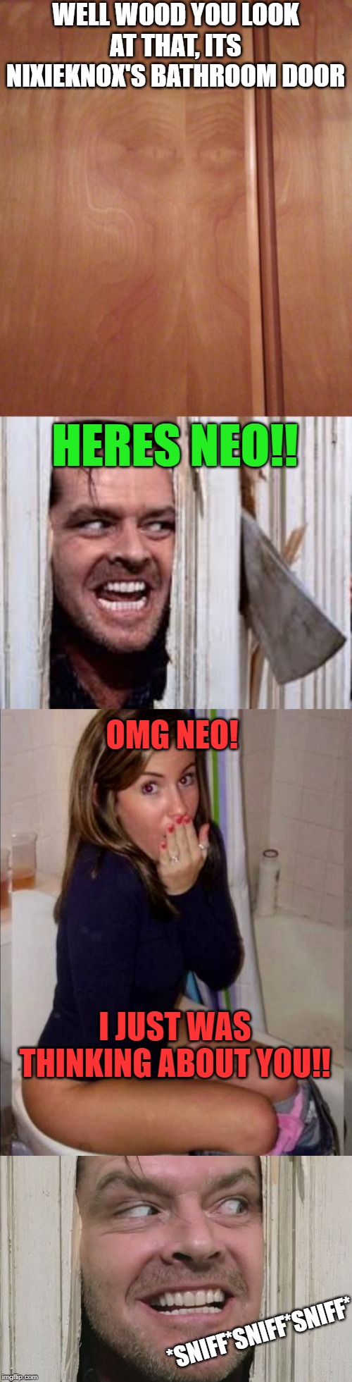 WELL WOOD YOU LOOK AT THAT, ITS NIXIEKNOX'S BATHROOM DOOR *SNIFF*SNIFF*SNIFF* HERES NEO!! OMG NEO! I JUST WAS THINKING ABOUT YOU!! | made w/ Imgflip meme maker