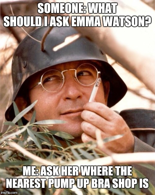 Some random German in the background: Toasty! | SOMEONE: WHAT SHOULD I ASK EMMA WATSON? ME: ASK HER WHERE THE NEAREST PUMP UP BRA SHOP IS | image tagged in wolfgang the german soldier,memes,roasted,emma watson,burned | made w/ Imgflip meme maker