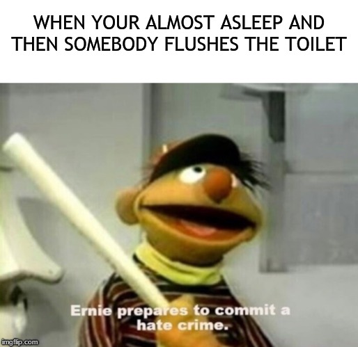 And if you live in an apartment, you have it even worse than me. | WHEN YOUR ALMOST ASLEEP AND THEN SOMEBODY FLUSHES THE TOILET | image tagged in ernie,toilet,sleep,memes,funny,baseball bat | made w/ Imgflip meme maker