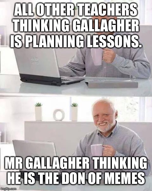 Hide the Pain Harold | ALL OTHER TEACHERS THINKING GALLAGHER IS PLANNING LESSONS. MR GALLAGHER THINKING HE IS THE DON OF MEMES | image tagged in memes,hide the pain harold | made w/ Imgflip meme maker