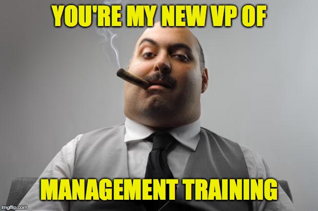 Scumbag Boss Meme | YOU'RE MY NEW VP OF MANAGEMENT TRAINING | image tagged in memes,scumbag boss | made w/ Imgflip meme maker