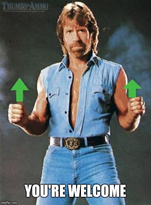 Upvote chuck | YOU'RE WELCOME | image tagged in upvote chuck | made w/ Imgflip meme maker