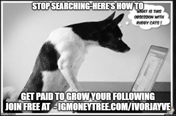 Laptop Dog | STOP SEARCHING-HERE'S HOW TO; GET PAID TO GROW YOUR FOLLOWING

JOIN FREE AT  - IGMONEYTREE.COM/IVORJAYVE | image tagged in laptop dog | made w/ Imgflip meme maker