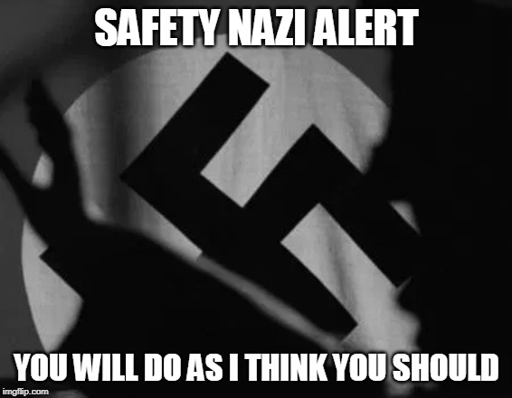 you will do as I say | SAFETY NAZI ALERT; YOU WILL DO AS I THINK YOU SHOULD | image tagged in you will do as i say | made w/ Imgflip meme maker