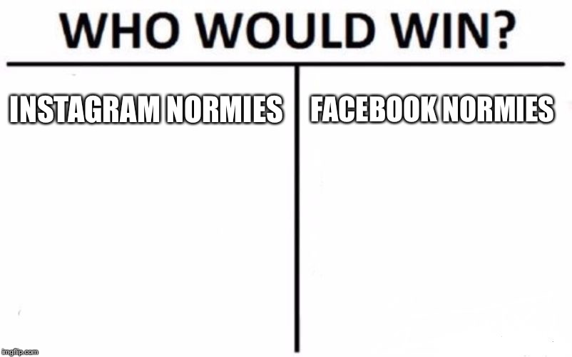 Who Would Win? | INSTAGRAM NORMIES; FACEBOOK NORMIES | image tagged in memes,who would win | made w/ Imgflip meme maker