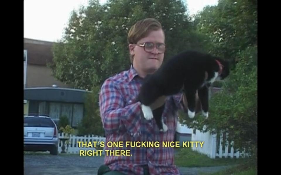 High Quality Fuckin nice kitty Blank Meme Template